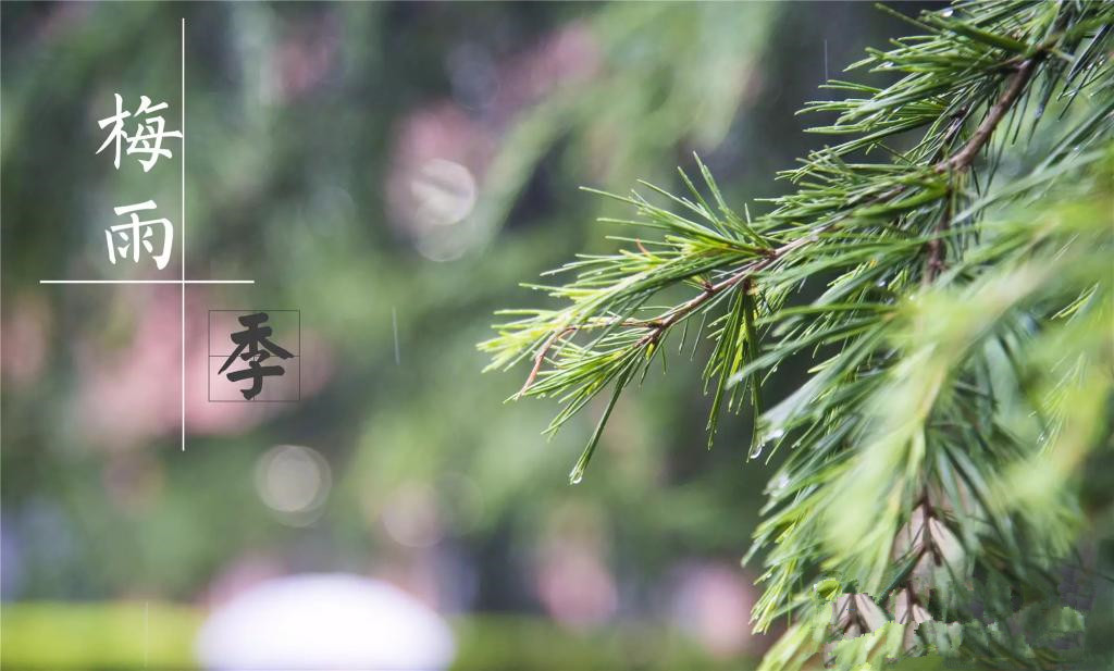 雨季到來(lái)，涂料施工需注意哪些問(wèn)題